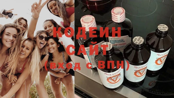 ГАЛЛЮЦИНОГЕННЫЕ ГРИБЫ Богданович