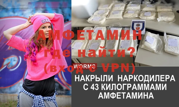 ГАЛЛЮЦИНОГЕННЫЕ ГРИБЫ Богданович