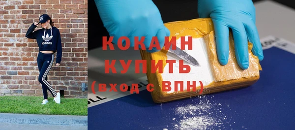 тгк Богородицк