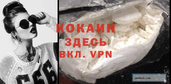 ГАЛЛЮЦИНОГЕННЫЕ ГРИБЫ Богданович