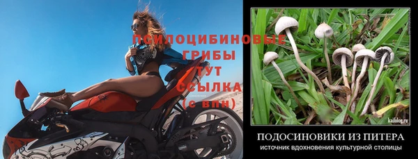 тгк Богородицк